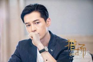 猎场35集神马在线播放,神马在线播放，揭秘职场风云再起！