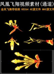 凤凰视频大全,精彩瞬间尽收眼底